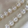 COLLIER PERLE AKOYA 8-8.5MM 3