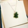 co-tortue20mm2