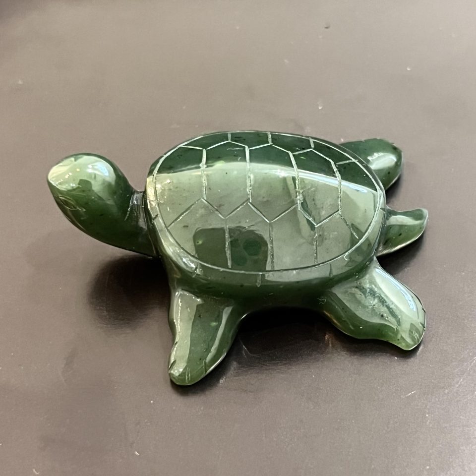 tortuejade3