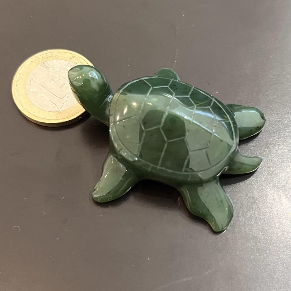 tortuejade4